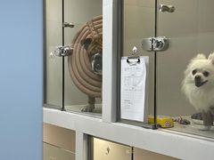 -comecome来吧宠物(奥克斯中心店)