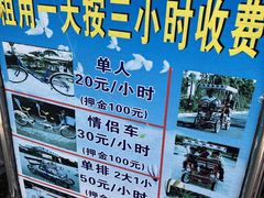 -上海海湾国家森林公园
