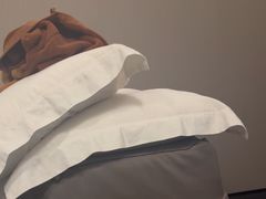 -康逸居·始于2002(海安店)