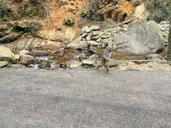 -姑婆山旅游区