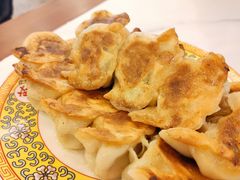 西葫芦羊肉锅贴-鸿宾楼(展览馆路店)