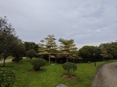 -东莞植物园