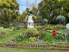 -上海共青森林公园