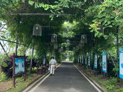 -武汉紫薇都市田园