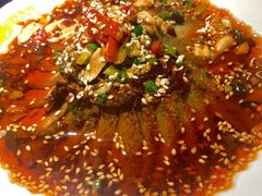 夫妻肺片-田婆婆的菜(海口友谊阳光城店)