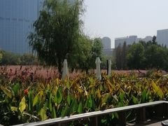 -艾溪湖湿地公园