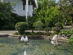 -广富林宰相府酒店·水云间