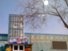 -蓬莱欧乐堡海洋极地世界