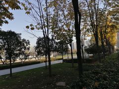 -木塔寺遗址生态公园