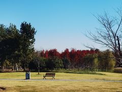 -阳澄湖半岛旅游度假区