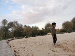 -长春世界雕塑园冰雪艺术天地