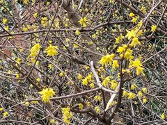 -证大大拇指广场(芳甸路店)