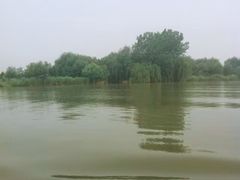 -溱湖国家湿地公园