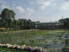-洪湖家庭农场·团建·露营·会议