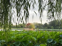 -青城公园