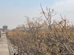 -西安城墙·碑林历史文化景区