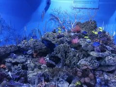 -成都浩海立方海洋公园