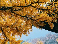 -红螺寺