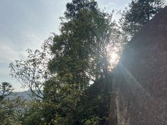 -大罗山风景区