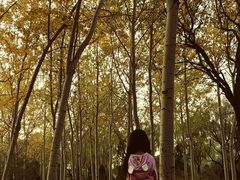 -森林公园(尖草坪区)
