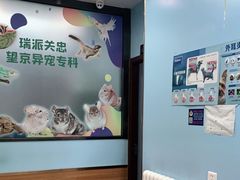 -瑞派·关忠动物医院·异宠专科·犬猫肿瘤·皮肤专科(望京店)