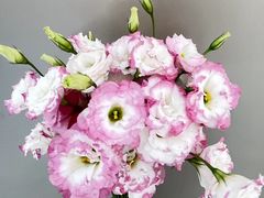 -BoBloom花店(晶耀前滩店)