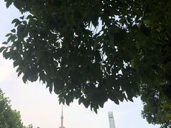 -东海咖啡馆