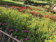 -神光山国家森林公园