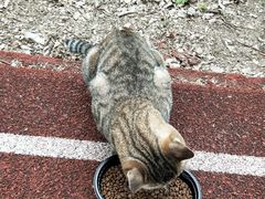 -南京理工大学紫金学院