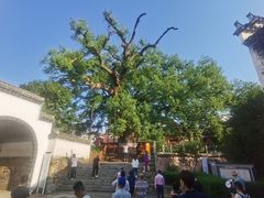 -新安江山水画廊风景区