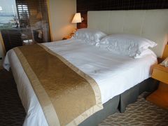 -新加坡文华东方酒店