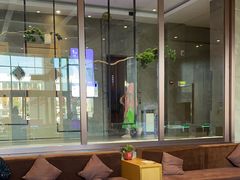 -星河湾温泉洗浴酒店