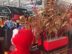 -奔驰利星行(北京花乡店)