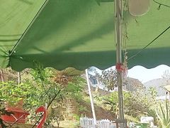 -鱼乐岛餐厅·户外花园主题餐厅