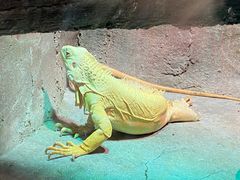 -济南野生动物世界