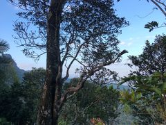 -七仙岭温泉国家森林公园