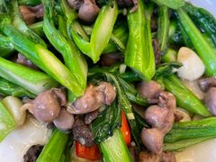 -旺金鸽(穗盐路总店)