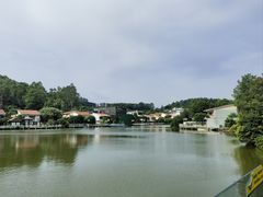 -明珠海港大酒店