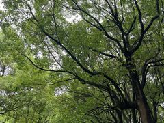 -东方绿舟景区