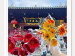 -光孝寺