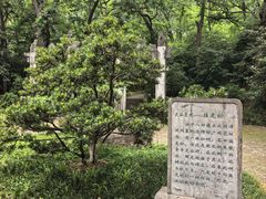 -灵谷景区