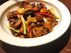 小炒口蘑-成都娃娃花园餐厅 (南艺旗舰店)