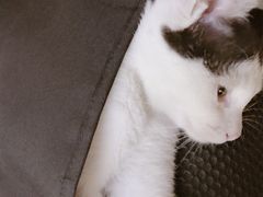 -一品格美术·中考高中成人美术培训