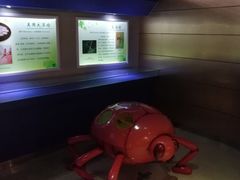 -上海昆虫博物馆