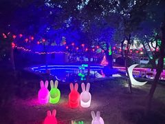 -枫花园汽车电影院(朝阳公园店)