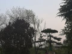 -莲湖公园