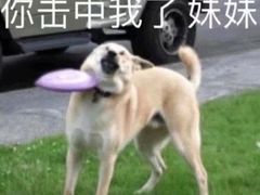 -石记东北风味烤肉店(子固路店)