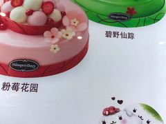 -哈根达斯(西安高新店)