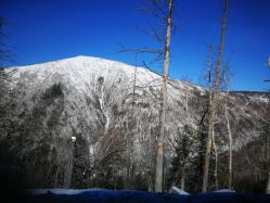 -大秃顶子山