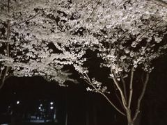 -堤角公园